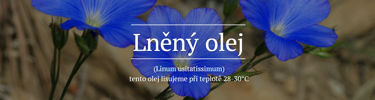 Olej lněný